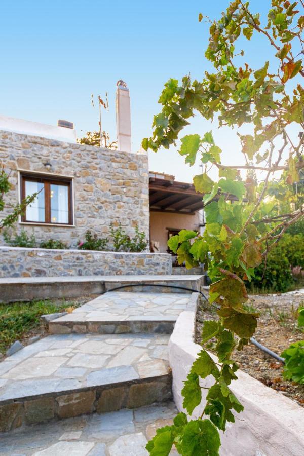 Villa Maria Stavrokhorion Экстерьер фото